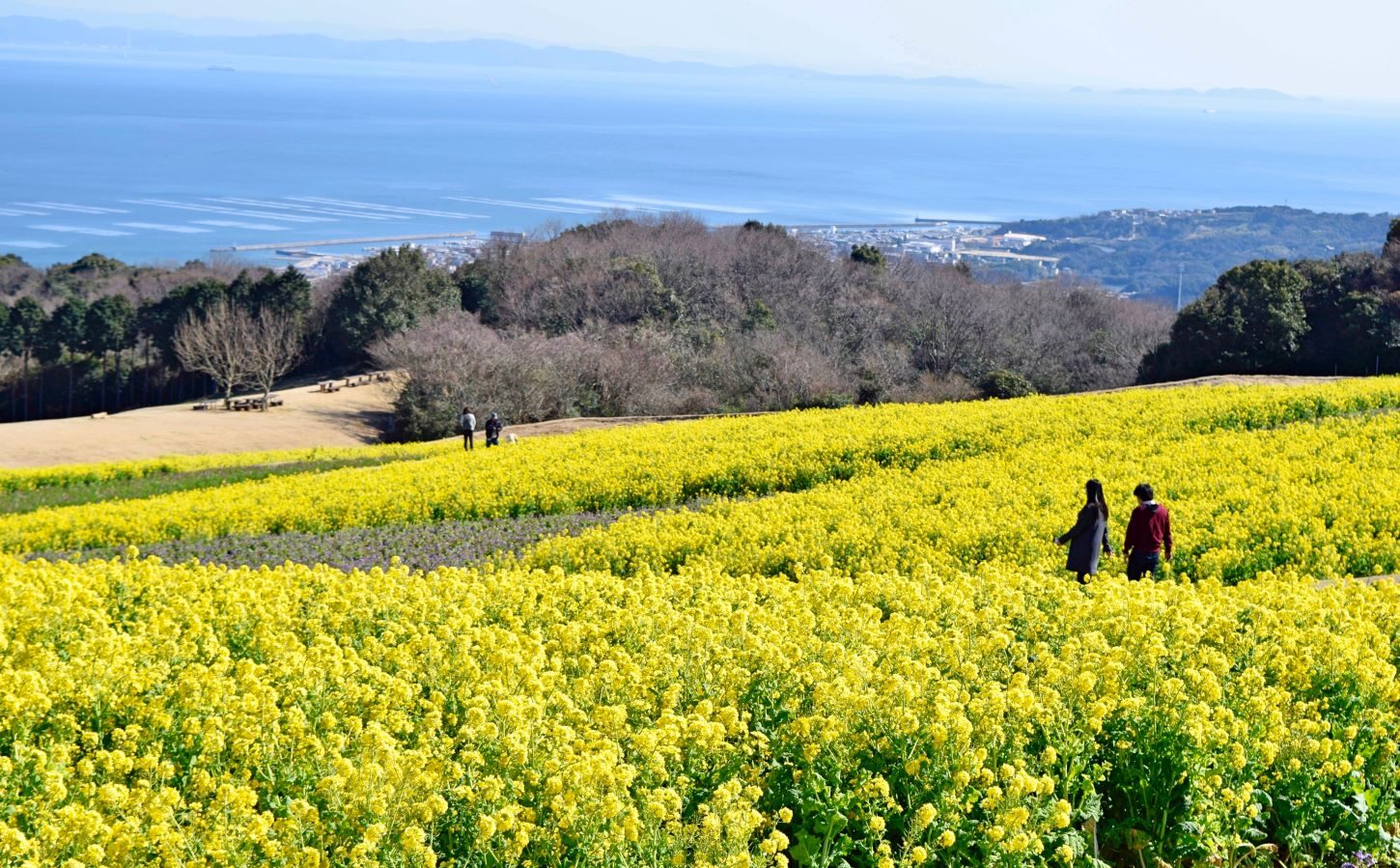 Awaji Hanasajiki - GaijinPot Travel