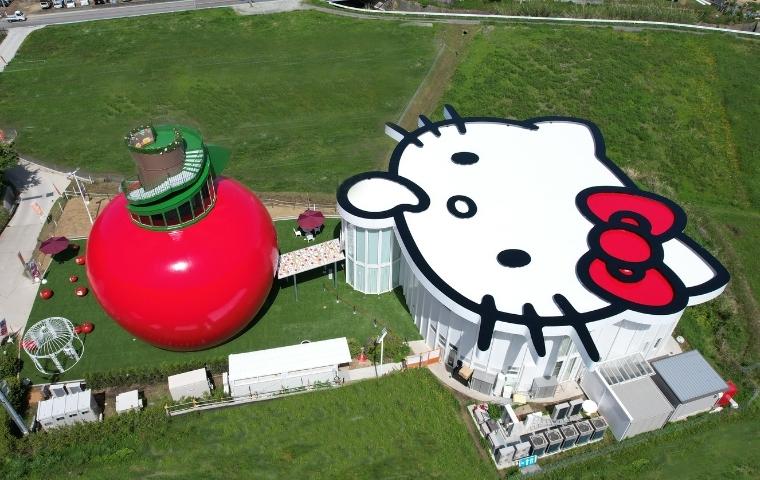 My hello kitty rice cooker !  Hello kitty shop, Hello kitty house, Hello  kitty