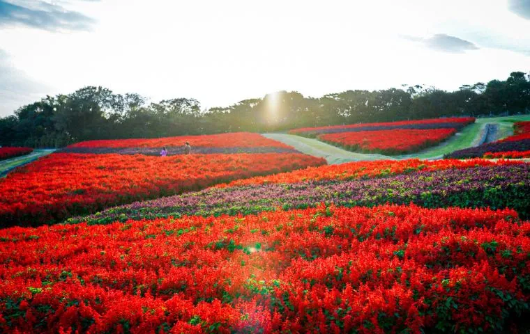 awaji island tourism