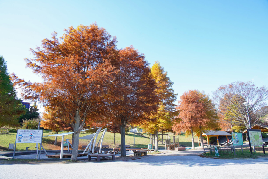 autumn leaves awaji island 1