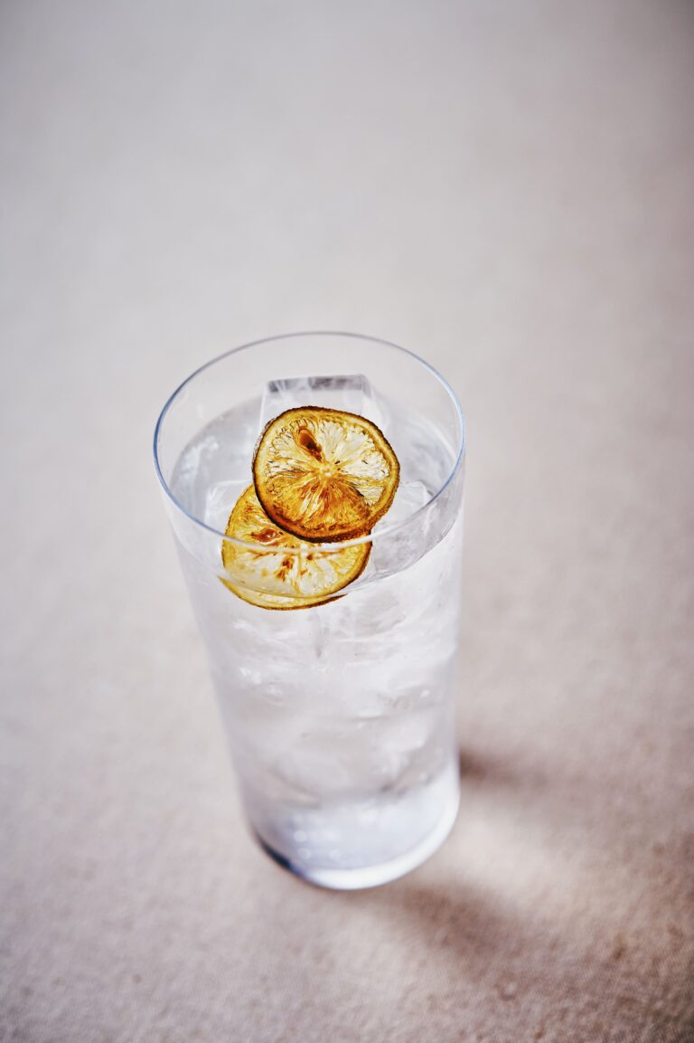 Japanese citrus highball cocktail with dried citrus garnish