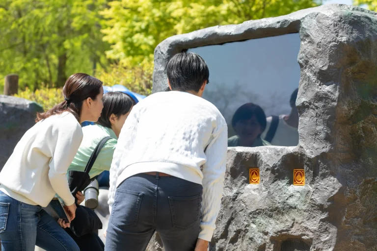 Visitors reading quest clues and solving mission in Dragon Quest Island at Nijigen no Mori Awaji Island